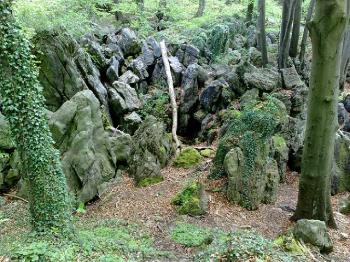 lifeblog image