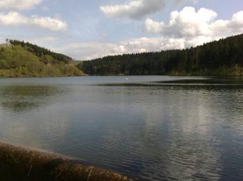 lifeblog image