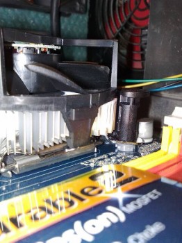 lifeblog image