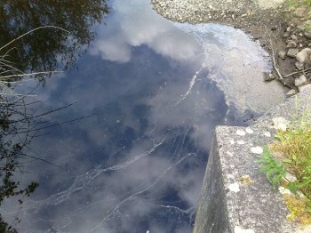 lifeblog image