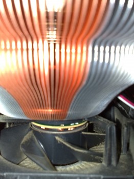 lifeblog image